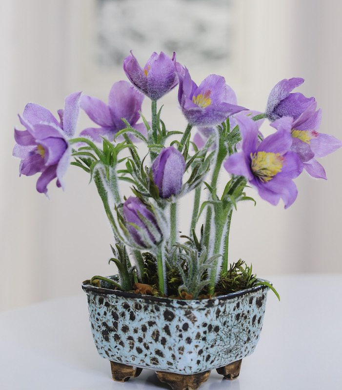 Handmade cold porcelain flowers by Kate Selezneva